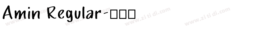 Amin Regular字体转换